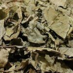 Ayahuasca Pack For 1 Or 2- Premium