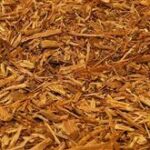 Ayahuasca Pack For 1: Standard
