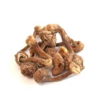Bottle Caps Mushrooms