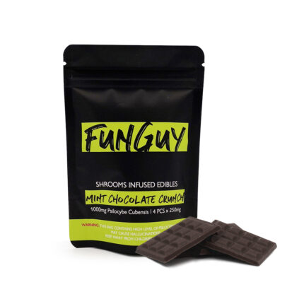 FunGuy Mint Chocolate Crunch Bar