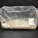 buy magic mushroom grow kit