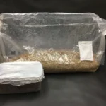 mushroom growing kits for sale